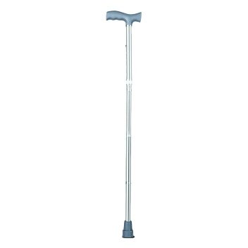 Walking Stick